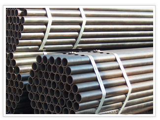 ��Ƶ����